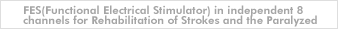 FES(Functional Electrical Stimulator) in independent 8 channels for Rehabilitation of Strokes and the Paralyzed